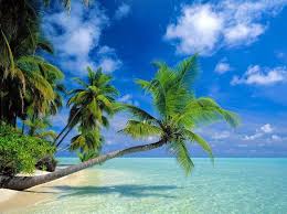 beach